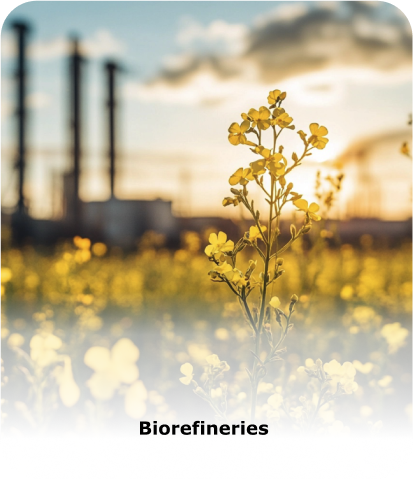 Biorefineries